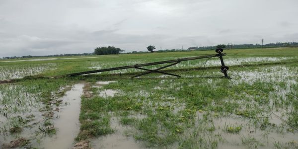 দুর্যোগে হুগলির বিস্তীর্ণ অংশ বিদ্যুৎ সংযোগবিহীন