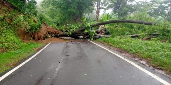 ধস ও গাছ পড়ে গণ্ডাছড়া -অমরপুর সড়কে যানবাহন চলাচল বিঘ্নিত