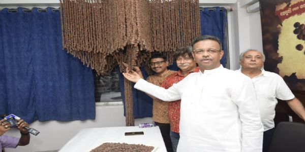 অমৃত কুম্ভের সন্ধানে, চেতলা অগ্রণীর পুজোর থিম