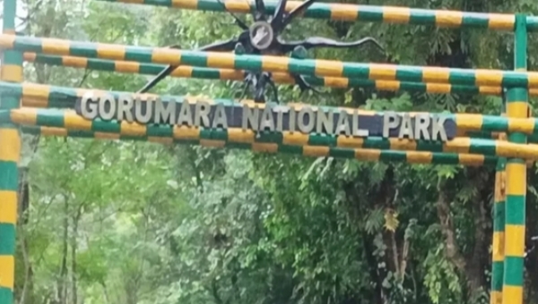 পর্যটকদের জন্য সুখবর; মঙ্গলবার খুলছে গোরুমারা ও জলদাপাড়া, থাকছে আকর্ষণও