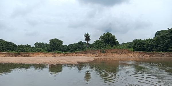 অবৈধ বালি উত্তোলনে নদী ভাঙন, আতঙ্কে কুঠিরডাঙা