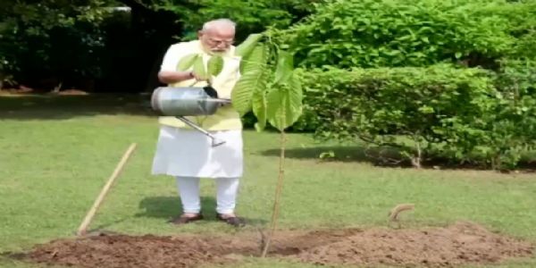 তৃতীয় চার্লসের উপহার, বাসভবনে কদম গাছের চারা রোপণ প্রধানমন্ত্রীর