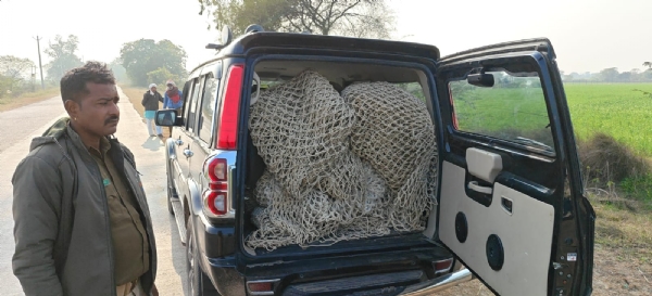 ক্ষেতে চিতাবাঘের দেখা, আতঙ্কে গোটা গ্রাম—তল্লাশি চালাচ্ছে বন দফতর