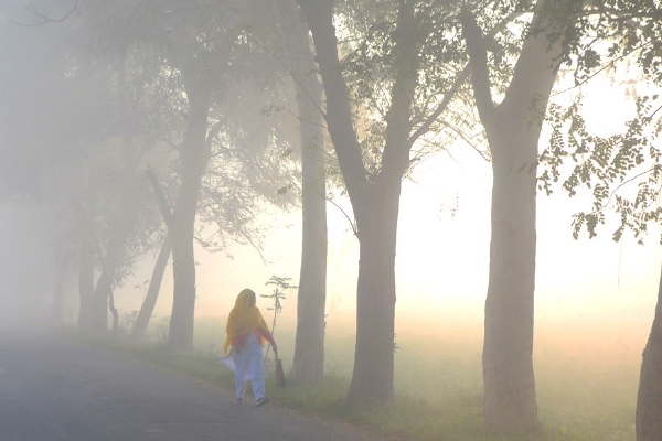 ঠান্ডায় দার্জিলিংয়ে টেক্কা দিচ্ছে শ্রীনিকেতন, পারদ নামল ৬.৬ ডিগ্রিতে ঠান্ডায় দার্জিলিংয়ে টেক্কা দিচ্ছে শ্রীনিকেতন, পারদ নামল ৬.৬ ডিগ্রিতে