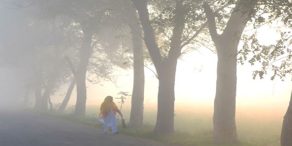 ঠান্ডায় দার্জিলিংয়ে টেক্কা দিচ্ছে শ্রীনিকেতন, পারদ নামল ৬.৬ ডিগ্রিতে