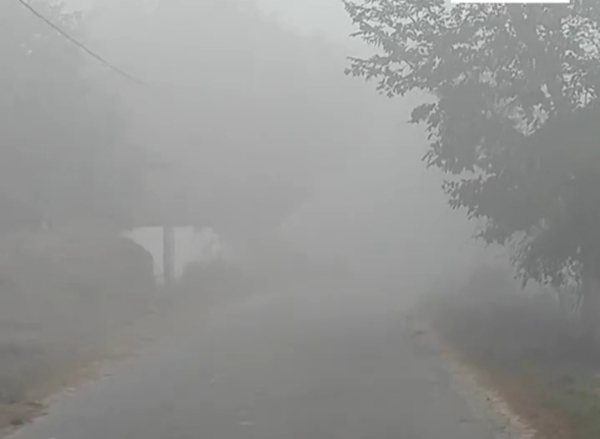শীতে কাবু উত্তর প্রদেশ, ঘন কুয়াশায় রাজ্যজুড়ে দৃশ্যমানতার অভাব