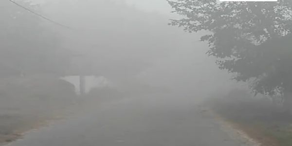 শীতে কাবু উত্তর প্রদেশ, ঘন কুয়াশায় রাজ্যজুড়ে দৃশ্যমানতার অভাব