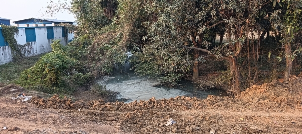 শিল্পায়নের বিষে নীল খড়ি নদী, মকরসংক্রান্তির পুণ্যস্নান নিয়ে দুশ্চিন্তায় জঙ্গলমহল ও গলসির গ্রামগুলি