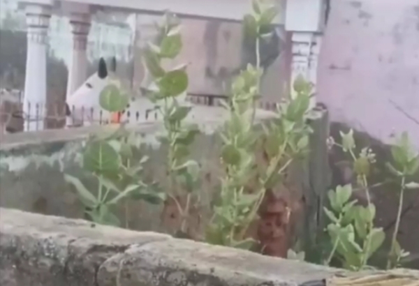 চুরুতে পারদ নামল ১.৩ ডিগ্রি সেলসিয়াসে, কনকনে ঠান্ডা মরু রাজ্যে