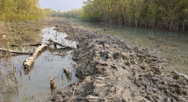 কুলতলির মৈপীঠে