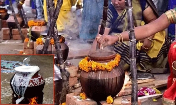 তামিলনাড়ু জুড়ে পোঙ্গলের আনন্দ, উৎসবের আমেজে মাতল রাজ্য