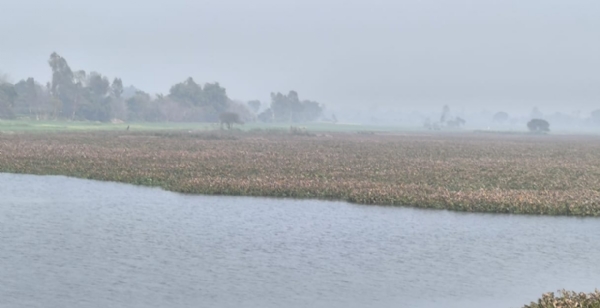 পরিষ্কারের অভাবে সংকটে ভগহর ঝিলের প্রাকৃতিক সৌন্দর্য