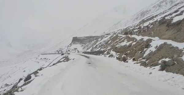 হিমাচলের উঁচু এলাকায় তুষারপাত শুরু,জারি হল হলুদ সতর্কতা