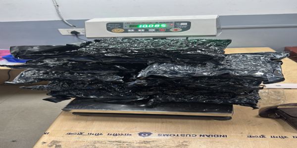 দিল্লির বিমানবন্দরে ৮.৭৭ কেজি গাঁজা উদ্ধার, ব্যাঙ্কক থেকে আসা দুই ভারতীয় গ্রেফতার