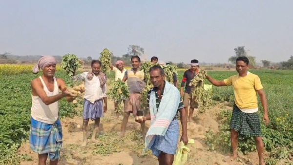 হাতির হানা