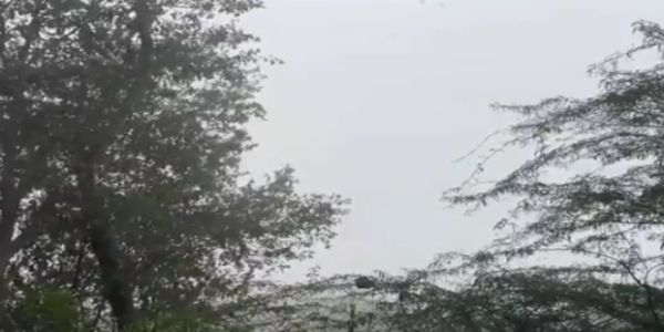 শীতে জবুথবু উত্তর প্রদেশ, ঘন কুয়াশায় কমেছে দৃশ্যমানতা