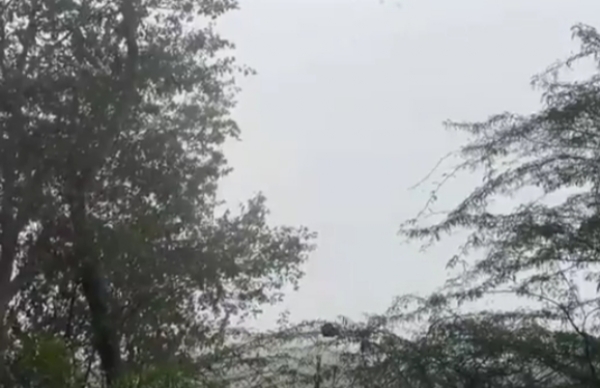 শীতে জবুথবু উত্তর প্রদেশ, ঘন কুয়াশায় কমেছে দৃশ্যমানতা