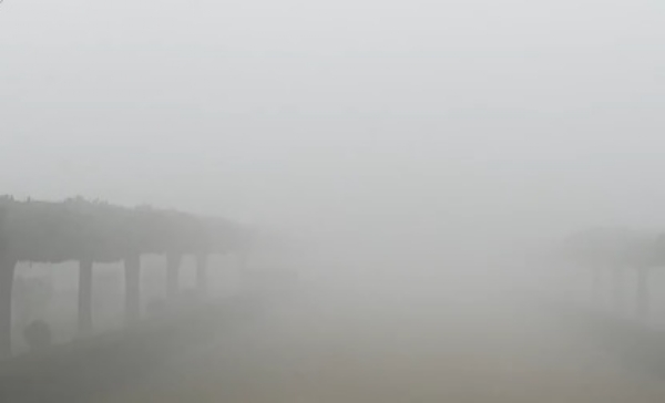 আগ্রায় দৃশ্যমানতা শূন্য, কুয়াশায় অদৃশ্য তাজমহল