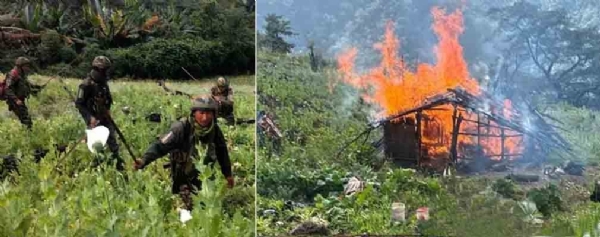 পোস্ত চাষ ধ্বংস (ফাইল ফটো)