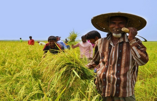 প্রধানমন্ত্রী ধন-ধান্য কৃষি যোজনার সাফল্যের এক বছর পূর্ণ