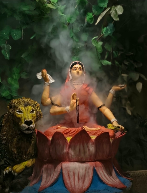 চোরবাগানকাণ্ডের পর বিসর্জনে কড়া নিরাপত্তা, কলকাতায় দায়িত্বে ১২ আইপিএস