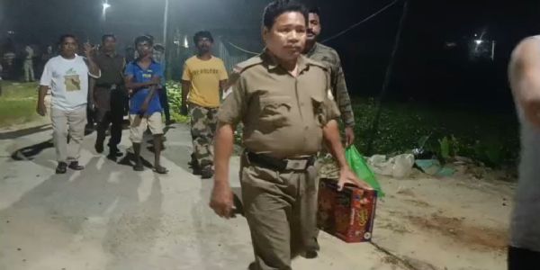 তেলিয়ামুড়ায় লোকালয়ে বুনো হাতি, আতঙ্কে রাতের জনপদ
