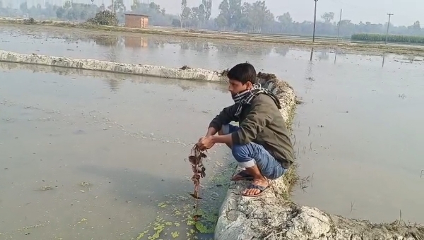 মাখানা নষ্ট মাখানা নষ্ট