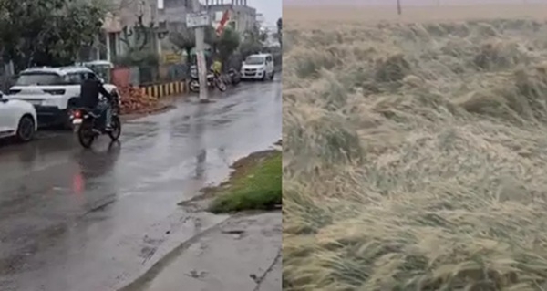 মধ্যপ্রদেশে ফের আবহাওয়ার বদল, ভোপাল-উজ্জয়িনী সহ ২০ জেলায় বৃষ্টি, ফসলের ক্ষতির আশঙ্কা মধ্যপ্রদেশে ফের আবহাওয়ার বদল, ভোপাল-উজ্জয়িনী সহ ২০ জেলায় বৃষ্টি, ফসলের ক্ষতির আশঙ্কা