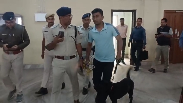 আদালতে স্নিফার ডগ আদালতে স্নিফার ডগ