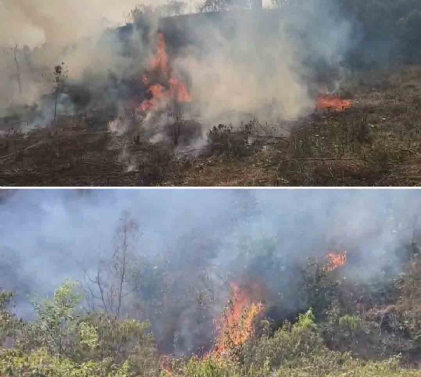 লঙ্গাই চা বাগানে আগুন