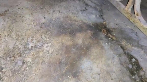 বোমা মারার অভিযোগে বোমা মারার অভিযোগে