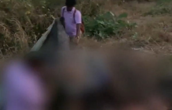 কেরলের পালাক্কড়ে ট্রেনের ধাক্কায় হস্তিশাবকের মৃত্যু