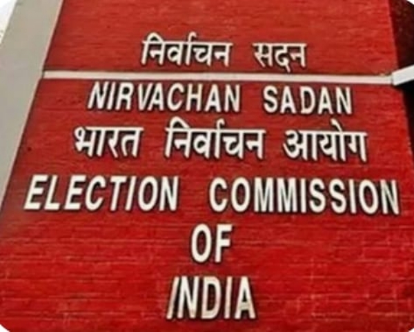 নির্বাচন কমিশন