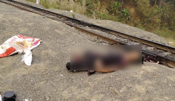 লামডিং-বদরপুর পাহাড় লাইনে ট্রেনের নীচে পড়ে এক ব্যক্তির মৃত্যু