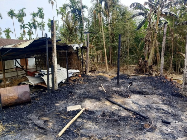 মাশরুম খামারে আগুন