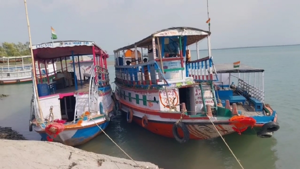 ভাইরাল ভিডিও ভাইরাল ভিডিও