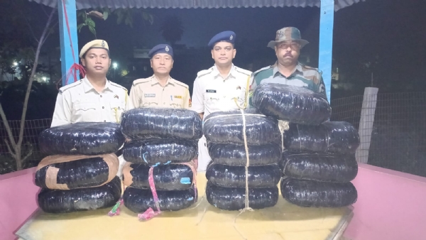 গাঁজা উদ্ধার সোনামুড়ায়