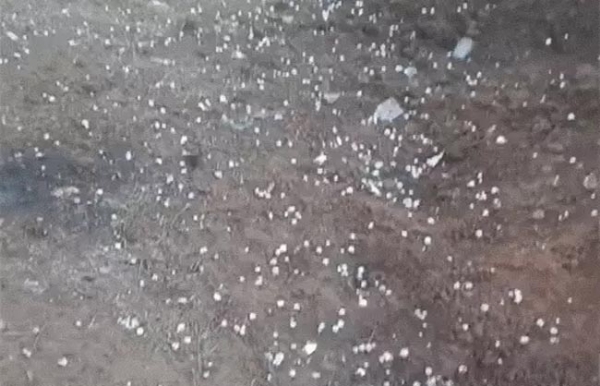 রেওয়ারিতে বজ্রসহ শিলাবৃষ্টি, কৃষকদের সতর্ক থাকার পরামর্শ রেওয়ারিতে বজ্রসহ শিলাবৃষ্টি, কৃষকদের সতর্ক থাকার পরামর্শ