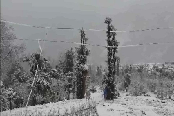 ভারী তুষারপাত জম্মু-কাশ্মীরে, বরফে ঢাকা পড়ল রাস্তাঘাট, ঘর-বাড়ি