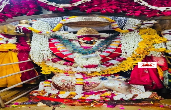 চৈত্র নবরাত্রির শুরুতেই ভক্তের ঢল, ‘জয় মা’ ধ্বনিতে মুখর বিন্ধ্যধাম