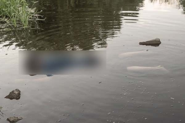 জলে ভাসমান মৃতদেহ_প্রতিনিধিত্বমূলক ছবি