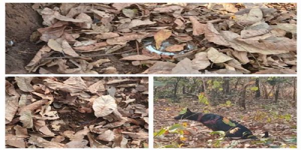 সুকমায় নকশালদের পাতা তিনটি আইইডি উদ্ধার, নিষ্ক্রিয় করল নিরাপত্তাবাহিনী