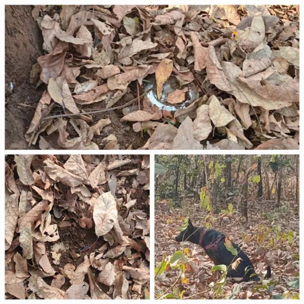 সুকমায় নকশালদের পাতা তিনটি আইইডি উদ্ধার, নিষ্ক্রিয় করল নিরাপত্তাবাহিনী