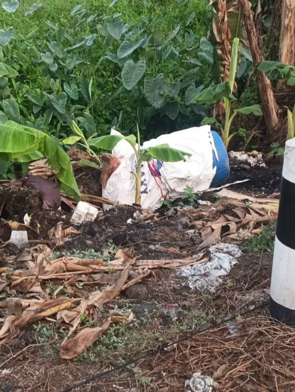 মৃতদেহ উদ্ধার