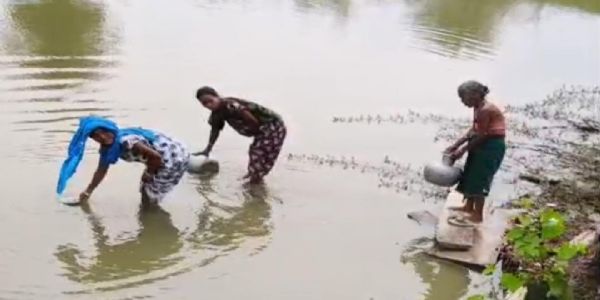 দূষিত জলেই জীবন, সমাধান না হলে ভোট বয়কট—স্পষ্ট বার্তা গ্রামবাসীর