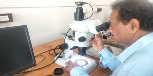 রূপনারায়ণ নদীতে নতুন প্রজাতির মাছের সন্ধান, নাম রাখা হলো ‘বুটিস বর্গভীমি’