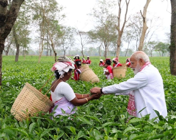 (চিত্র ৩)