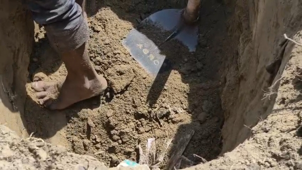 সদ্যজাত দেহ ময়না তদন্ত