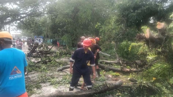 কাছাড়ে প্রবল কালবৈশাখীর তাণ্ডব (চিত্র ২) কাছাড়ে প্রবল কালবৈশাখীর তাণ্ডব (চিত্র ২)