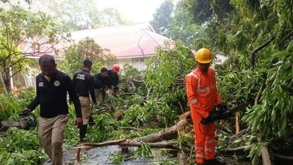 কাছাড়ে প্রবল কালবৈশাখীর তাণ্ডব (চিত্র ১) কাছাড়ে প্রবল কালবৈশাখীর তাণ্ডব (চিত্র ১)